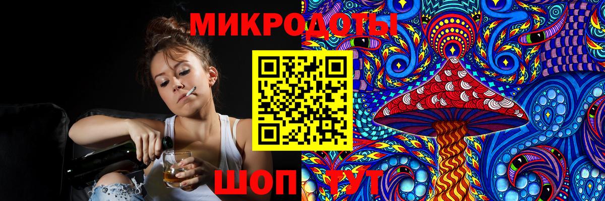 Галлюциногенные грибы Psilocybine cubensis Нововоронеж