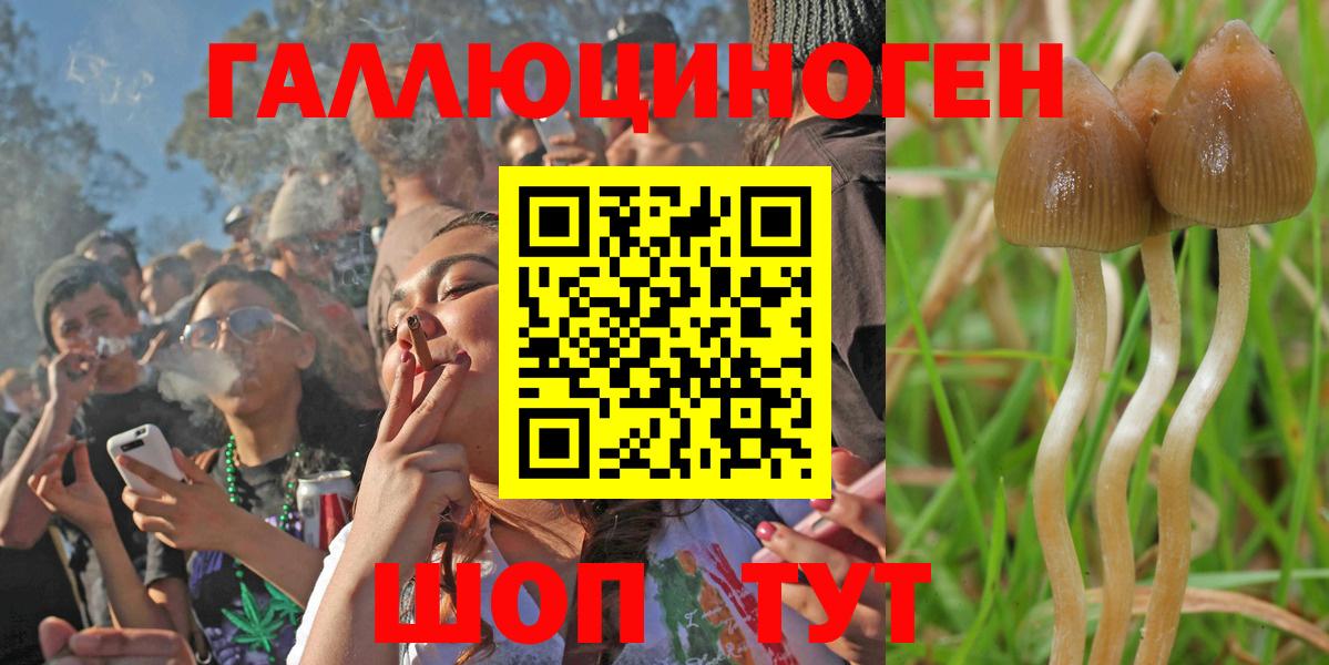 купить   Псилоцибиновые грибы MAGIC MUSHROOMS  Вход с VPN  Нововоронеж 